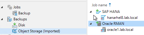 Jobs 
Backup 
Sac ku ps 
Disk 
Object Storage (Imported) 
Job name t 
SAP HANA 
hanarhe18.Iab.IocaI 
Oracle RMAN 
oraclel .lab.local 